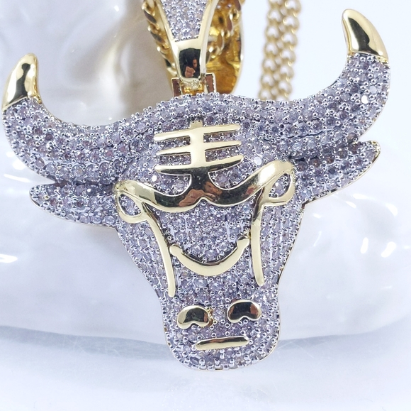 🧡 Iced Chicago Bull Pendant + Chain - Picture 3 of 8